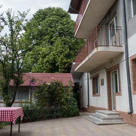 エフォリエ・スド Casa Din Gradinaヴィラ エクステリア 写真