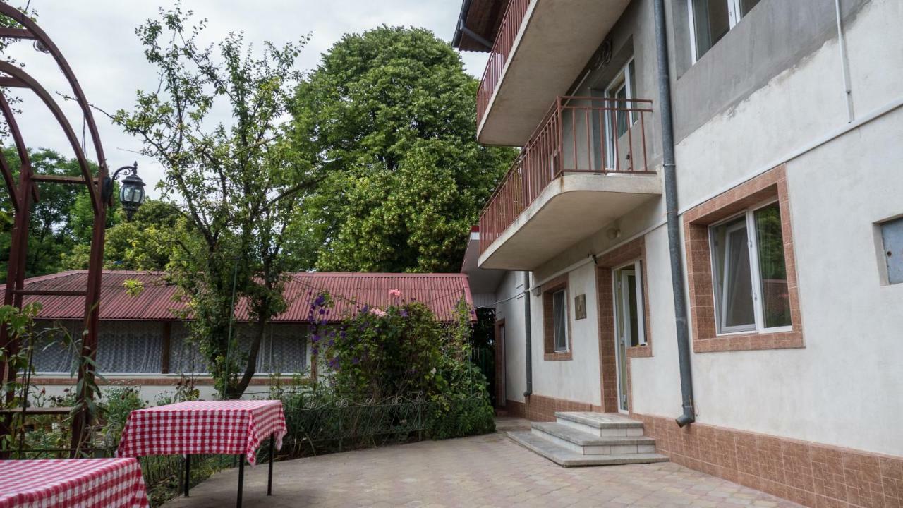 エフォリエ・スド Casa Din Gradinaヴィラ エクステリア 写真