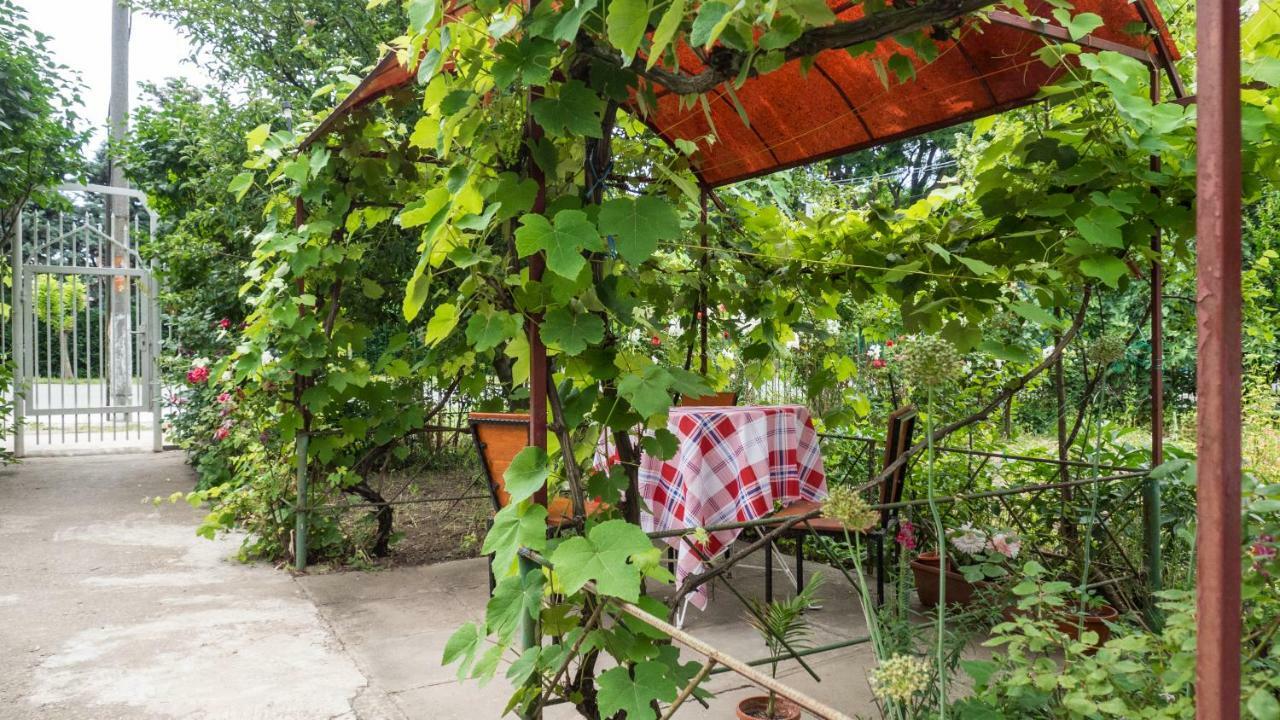エフォリエ・スド Casa Din Gradinaヴィラ エクステリア 写真