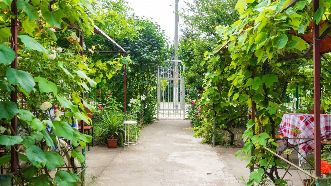 エフォリエ・スド Casa Din Gradinaヴィラ エクステリア 写真